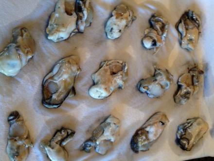 Oysters on a paper towel