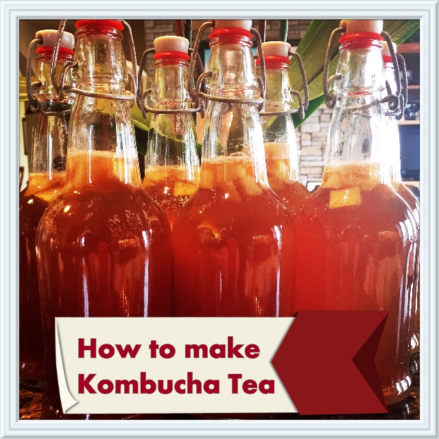 Making Kombucha Tea