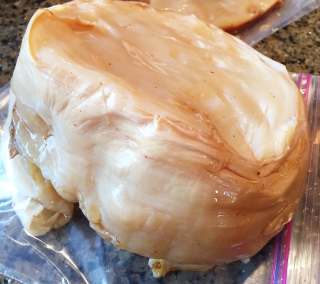 Mother of all Scoby's