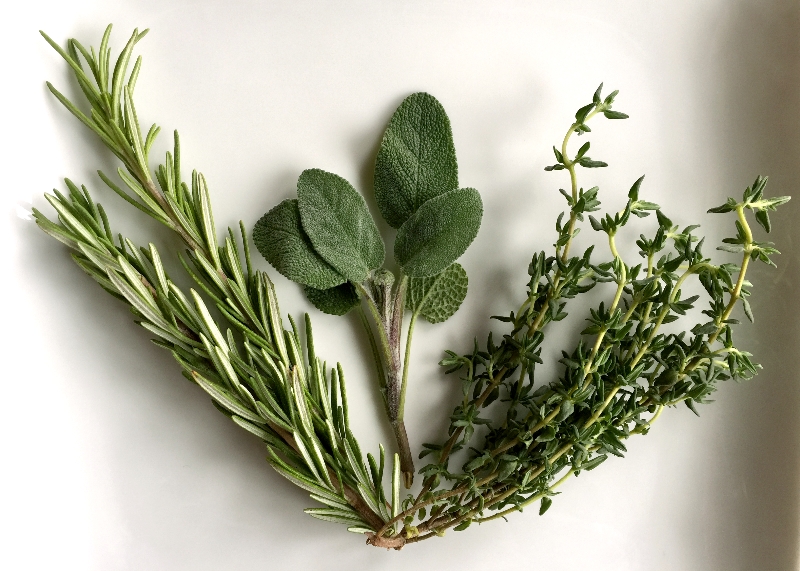 Rosemary, Sage and Thyme 
