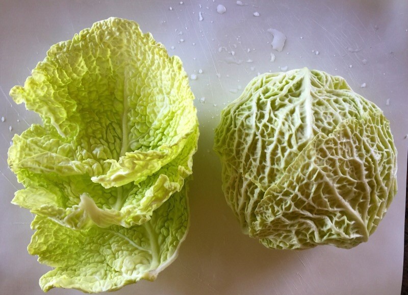 Savoy Cabbage Leaves