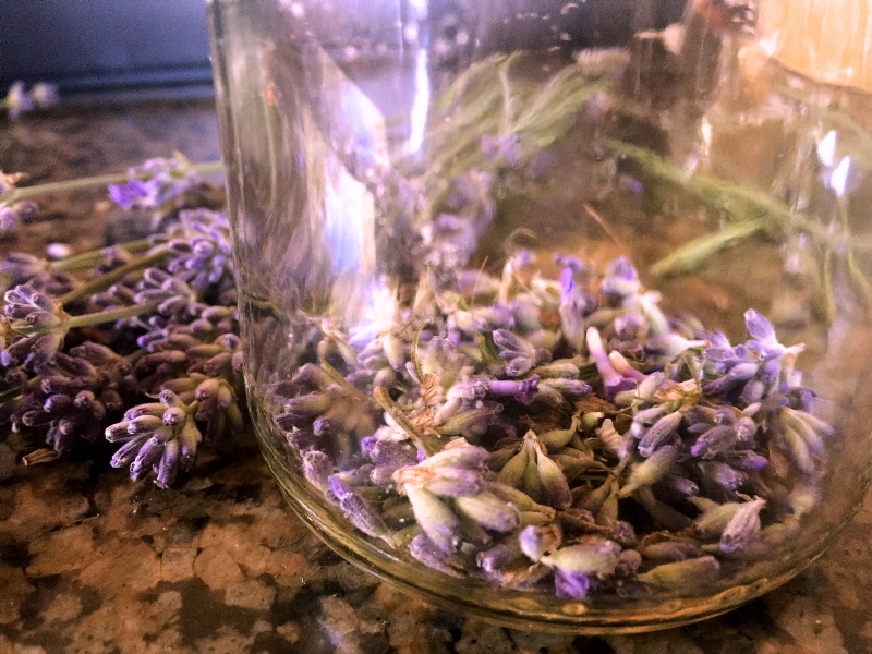 Lavender Buds in Jar