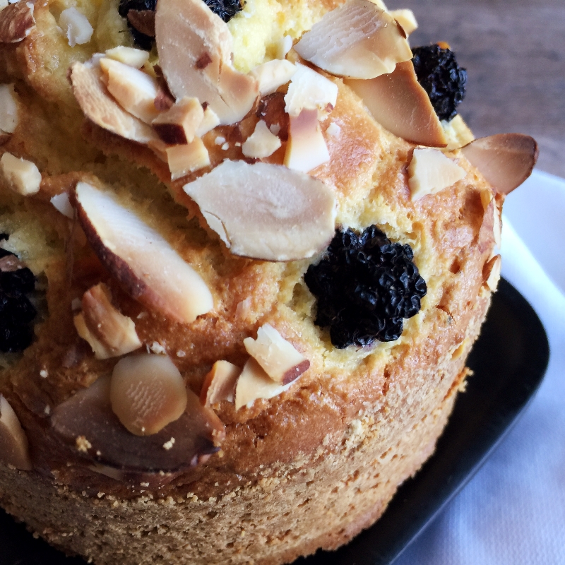 blackberry-almond-cake-closeup