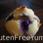 GrainFree Huckleberry Muffin