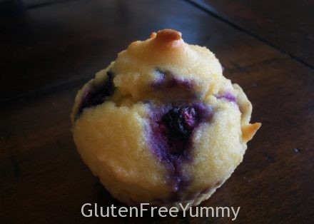 Grain and Sugar free Huckleberry Muffin